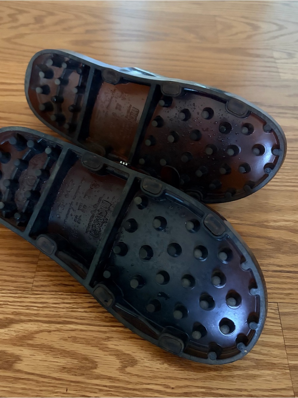 Tortoise slides - Picture 2 of 2